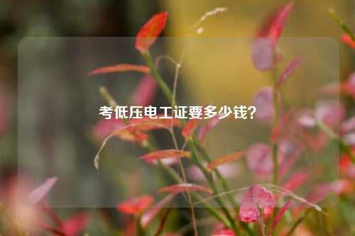 考低壓電工證要多少錢？-圖1