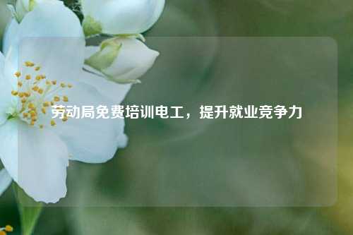 勞動(dòng)局免費(fèi)培訓(xùn)電工，提升就業(yè)競(jìng)爭(zhēng)力-圖1