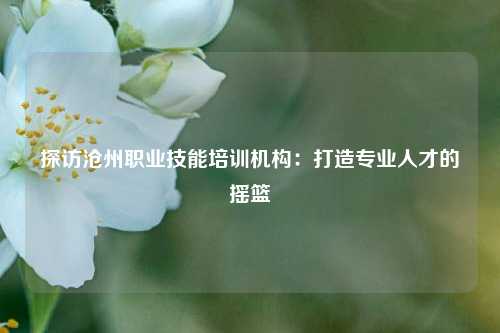 探訪滄州職業(yè)技能培訓機構：打造專業(yè)人才的搖籃-圖1