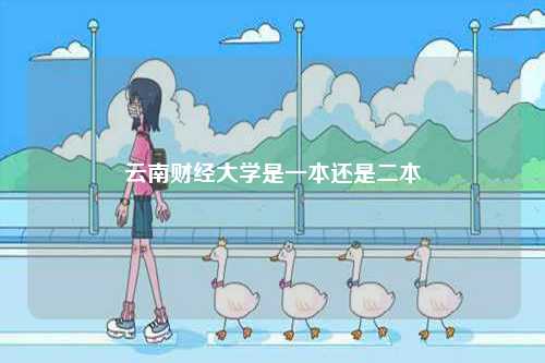 云南財(cái)經(jīng)大學(xué)是一本還是二本-圖1