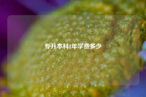 專升本科2年學(xué)費大概要花多少-圖1