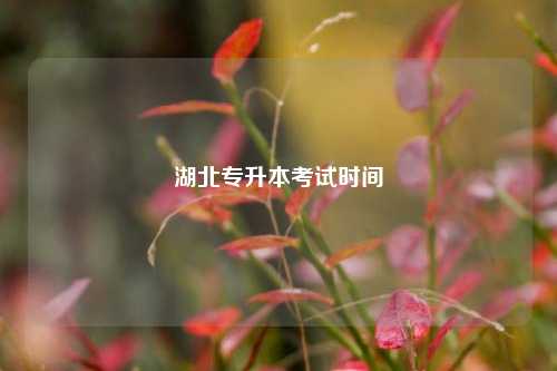 2025湖北專(zhuān)升本政策最新-圖1