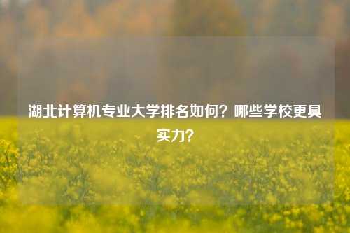 湖北計(jì)算機(jī)專業(yè)大學(xué)排名如何？哪些學(xué)校更具實(shí)力？-圖1